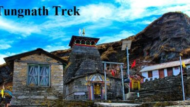 Tungnath Trek