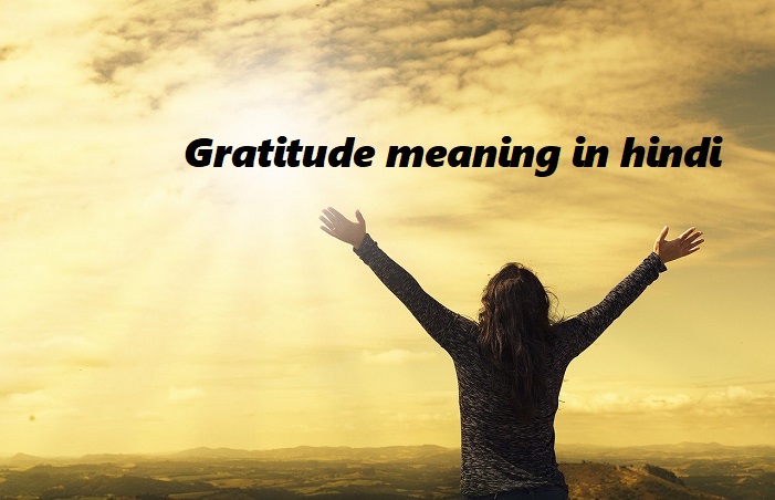 gratitude meaning in hindi